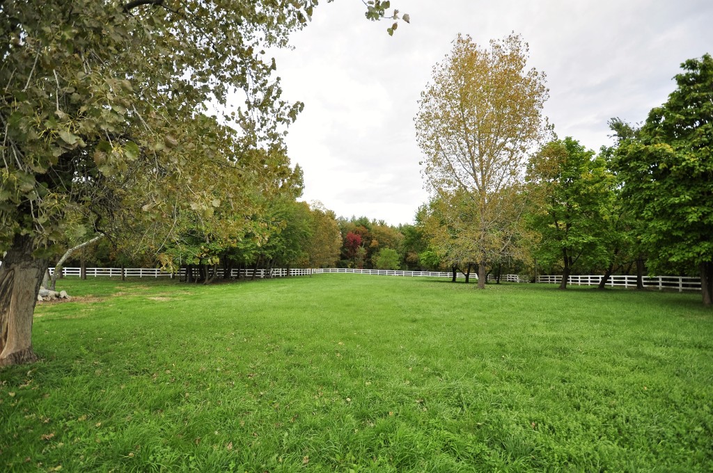 Perfect Home site! 4 Acres of Beautiful Pasture Land! OTM