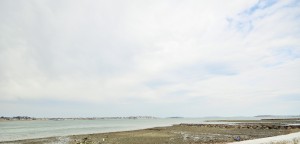 _DSC1207